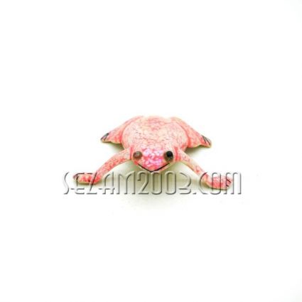 Shell craft 