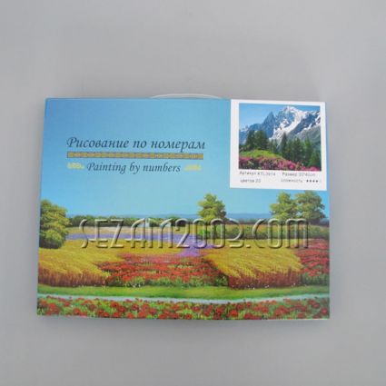 Picture - painting by numbers