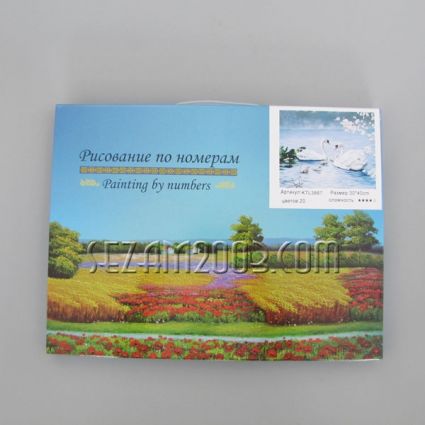 Picture - painting by numbers