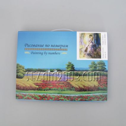 Painting - paint by number 