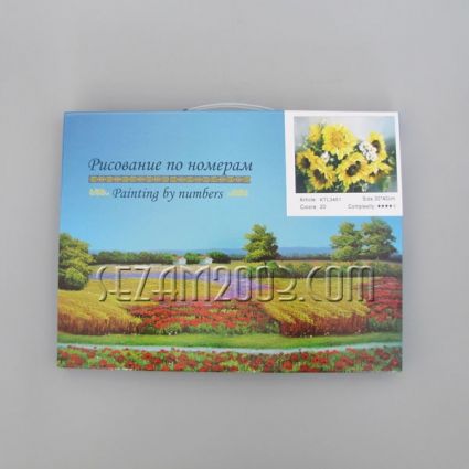 Painting - paint by number 