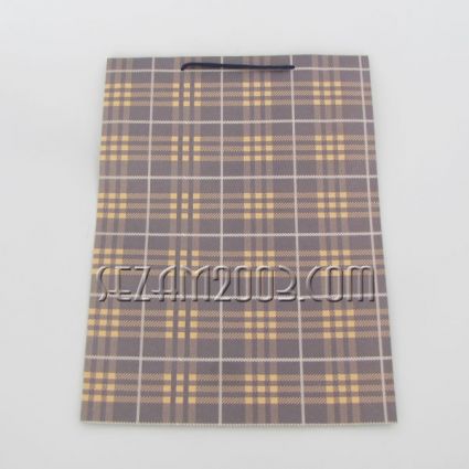 Gift bag  paper 