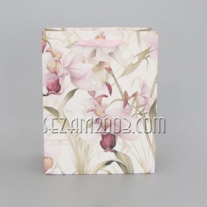 Luxury paper gift bag 